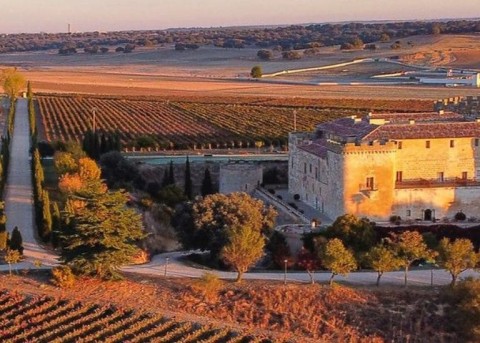 Fin de Semana Premium en Bodegas de Castilla y León